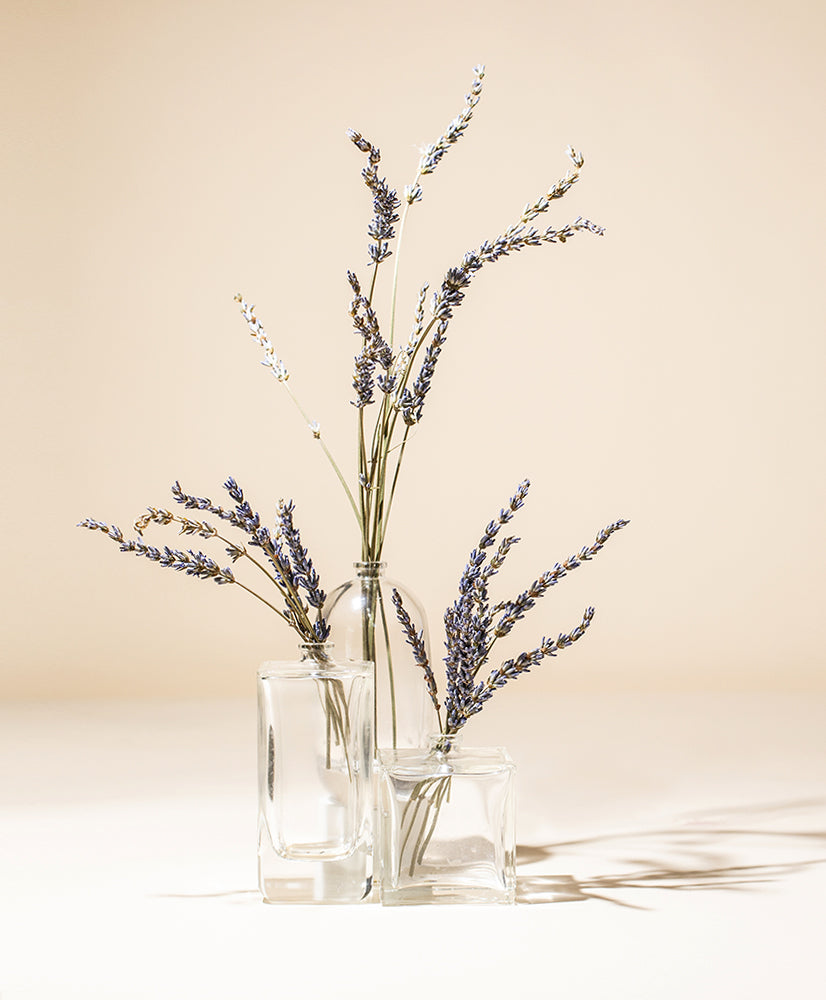 PREMIUM FRENCH LAVENDER ESSENTIAL OIL
